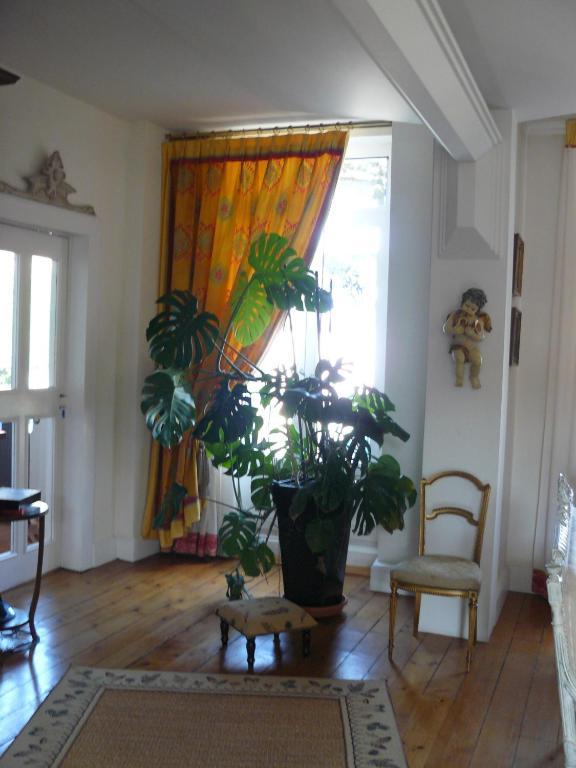 Chambres D'Hotes L'Albinque Castres  Exteriér fotografie